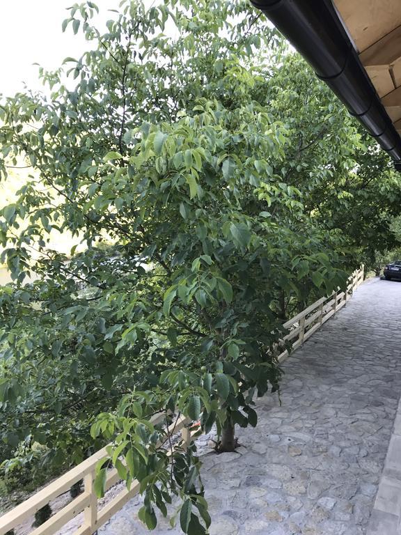 6 New River View Apartments Bihać Kültér fotó